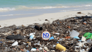 Pondrán en marcha fideicomiso para gestión de residuos en polos turísticos