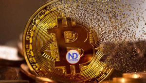 Analistas afirman que podrían desaparecer el Bitcoin y las demás criptomonedas