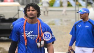 Dos criollos y tres refuerzos en la rotación abridora de los Tigres