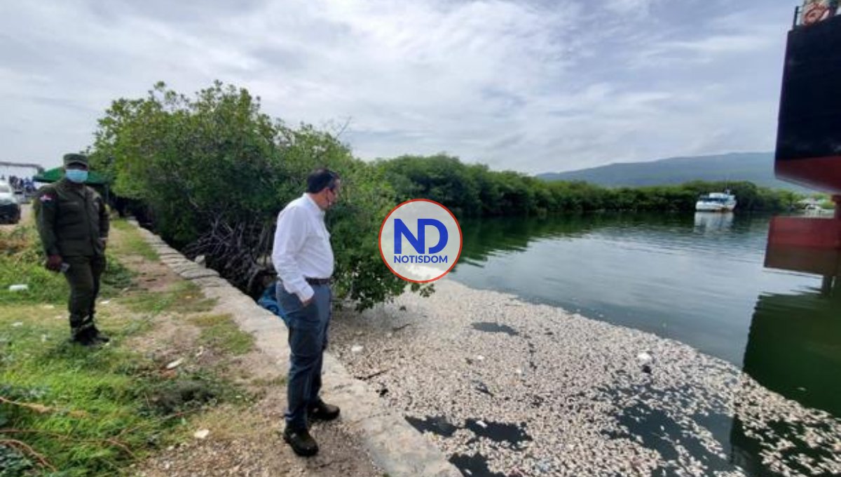 Jorge Mera supervisa investigación de muerte masiva de peces en Barahona