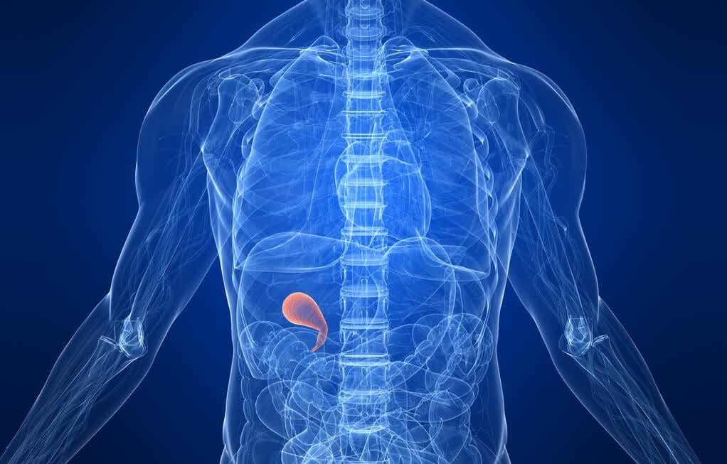 Cómo limpiar el hígado y la vesícula biliar naturalmente 3 VECICULA Cómo limpiar el hígado y la vesícula biliar naturalmente