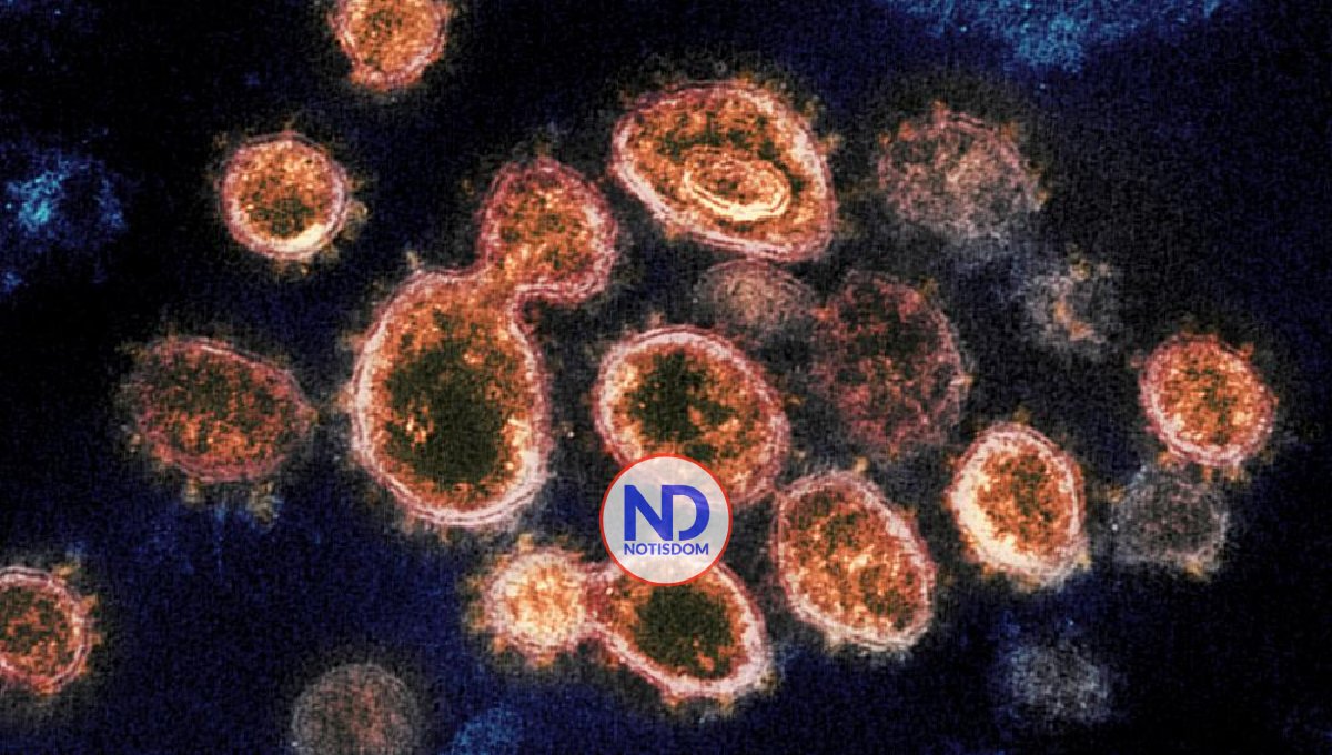 Europa ataja el repunte de más del 55% casos de la Covid en un mes