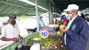 Parceleros de Reforma Agraria venden sus productos en Baní