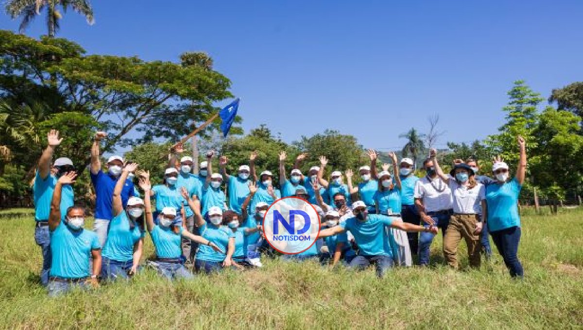 Banco Popular ha sembrado más de 161,000 árboles en el 2021