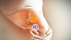 Colectivo insta Congreso seguir firme en aprobación Código Penal