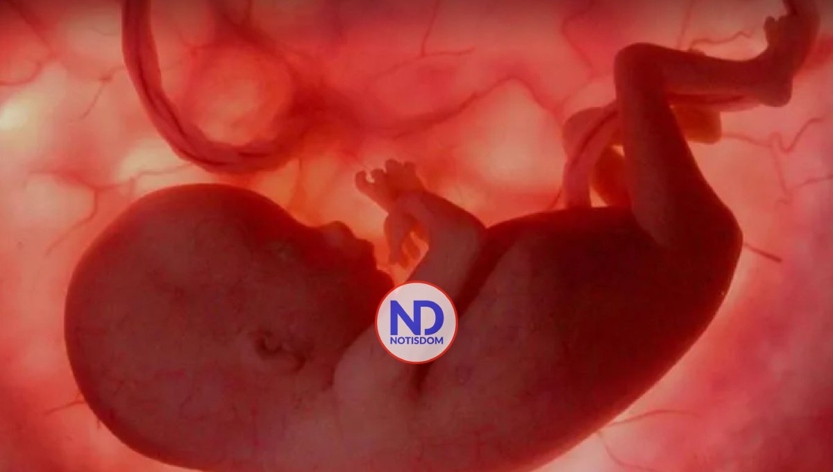 Los genes paternos y maternos intentan controlar los nutrientes en el útero