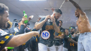 Las Aguilas derrotan a los Leones y clasifican al round robin del beisbol dominicano