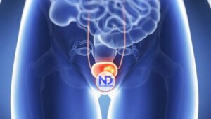 Oncóloga afirma cáncer de cérvix es altamente prevenible y tratable