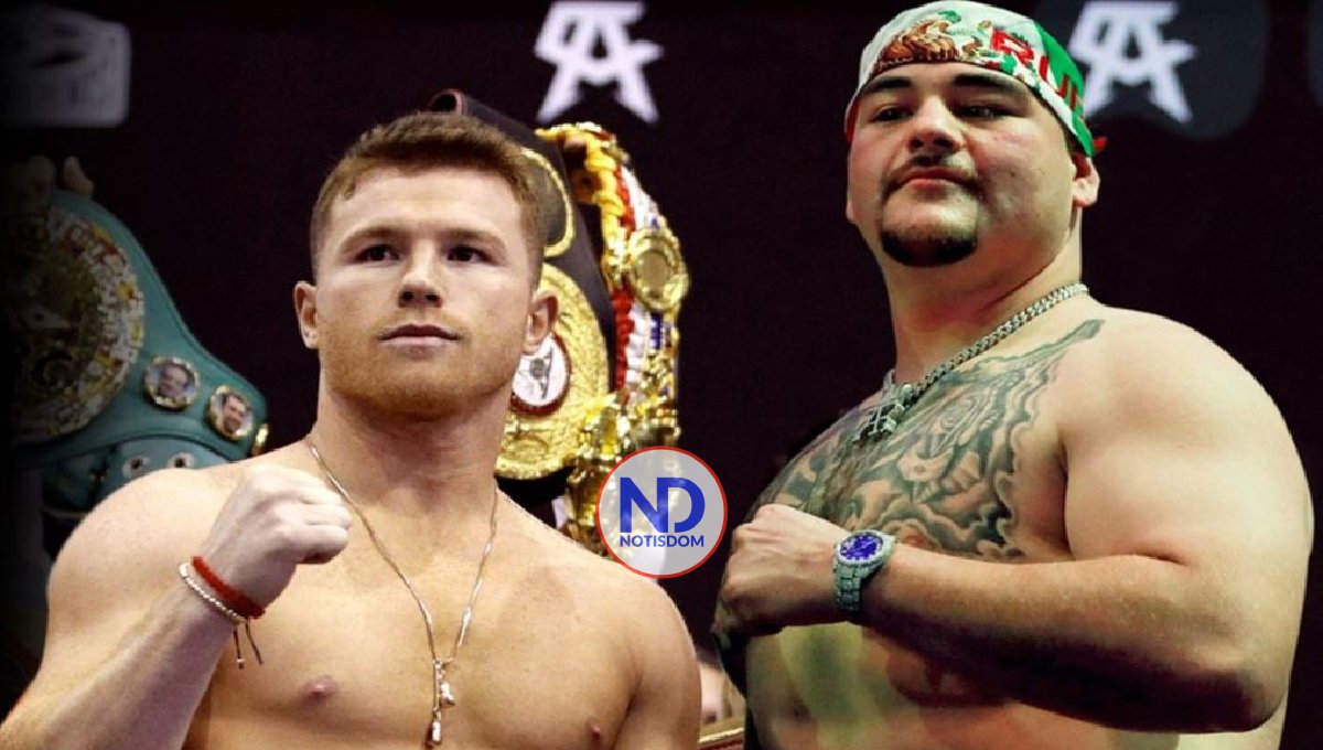 Los objetivos de Canelo: sumar títulos y un mundial “pesado”