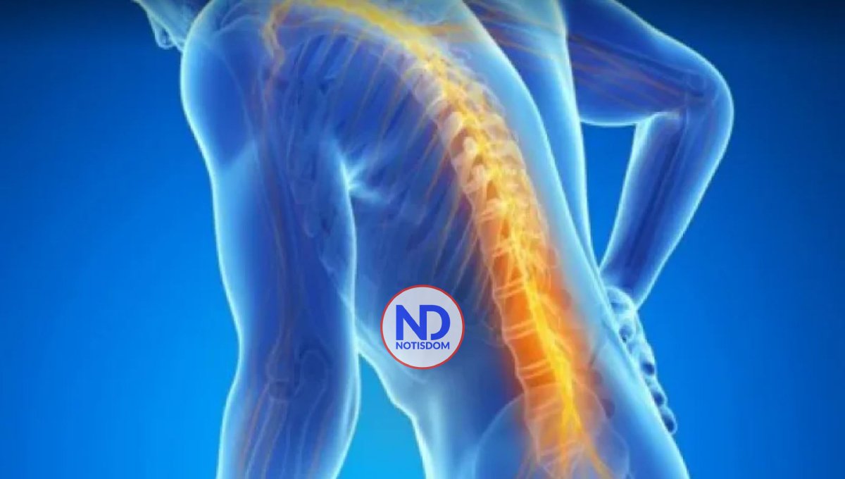 Japón prueba primer tratamiento de lesiones de médula espinal con células iPS