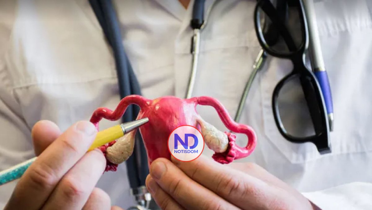 Mioma uterino: qué es y algunos de sus síntomas