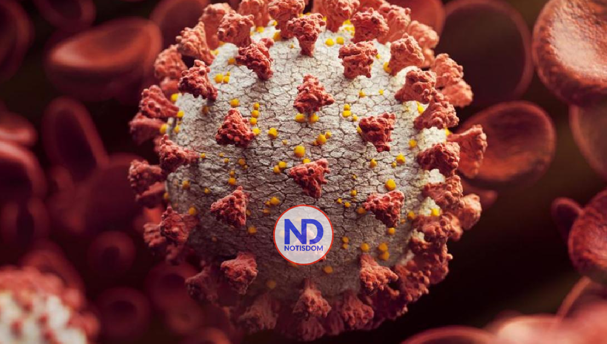 Sepa qué es la flurona y qué síntomas tiene esta enfermedad detectada en Israel 2 Sepa qué es la flurona y qué síntomas tiene esta enfermedad detectada en Israel