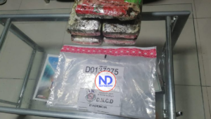 DNCD decomisa más de 67 mil gramos de drogas en 15 días