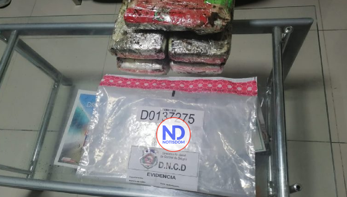 DNCD decomisa más de 67 mil gramos de drogas en 15 días