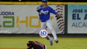 Sergio Alcántara saca provecho de su madurez para brillar con los Tigres del Licey