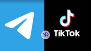 Aprende a descargar videos de TikTok con Telegram sin la marca de agua