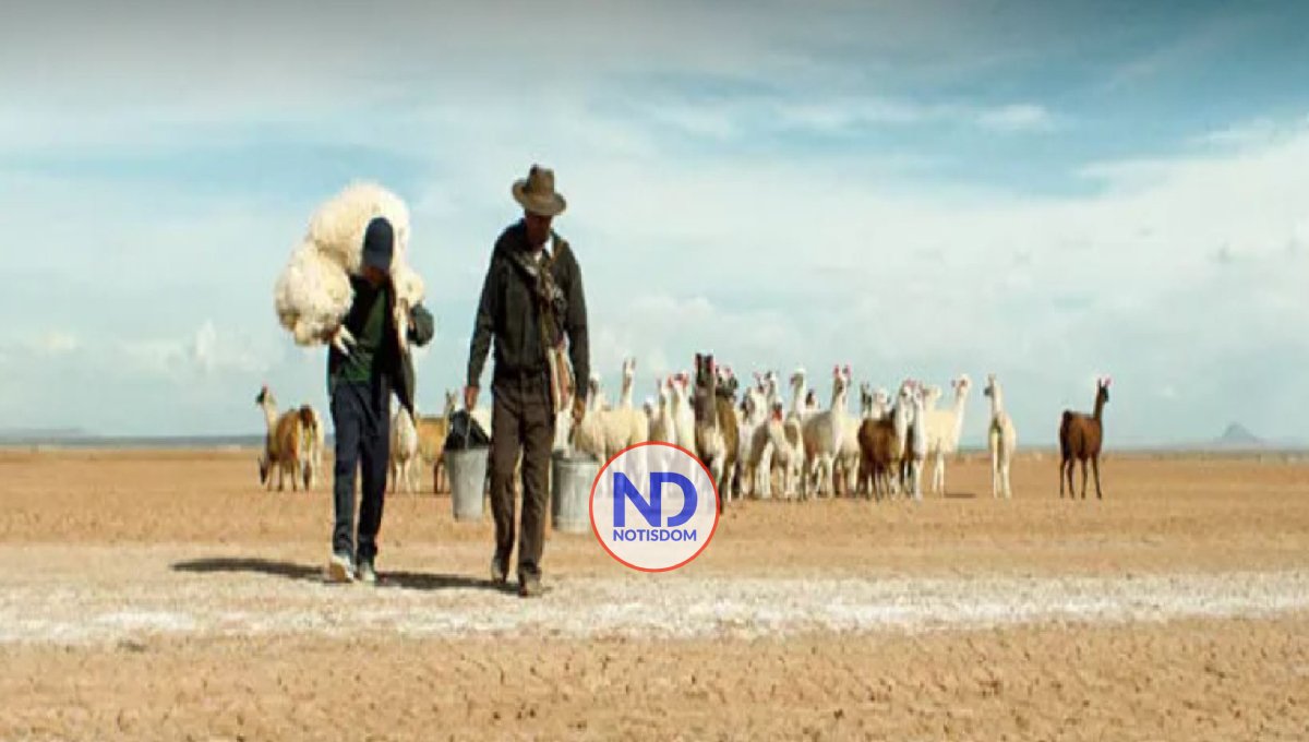 La película latina «Utama» gana el Festival de Sundance