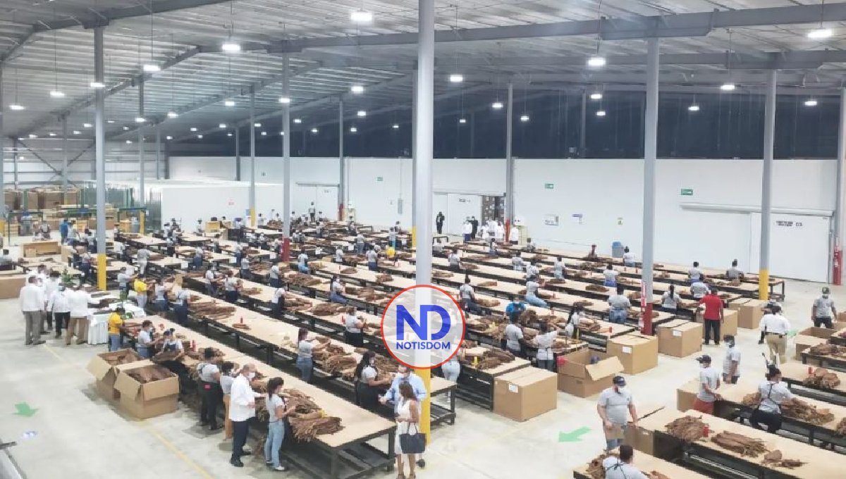 Exportaciones de zonas francas aumentaron 22.7% durante 2021