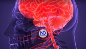 ¿Qué le ocurre a nuestro cerebro justo antes de morir?