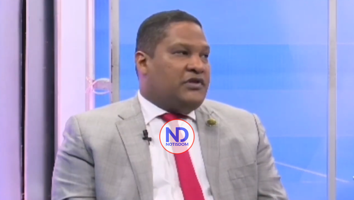 Video | Jhanel Ferreras afirma Abinader no necesita reducir el 50+1 para ganar en primera vuelta