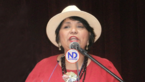 Lourdes Batista-Jakab recibe apoyo por su pasada gestión en Comisionado Cultura NY