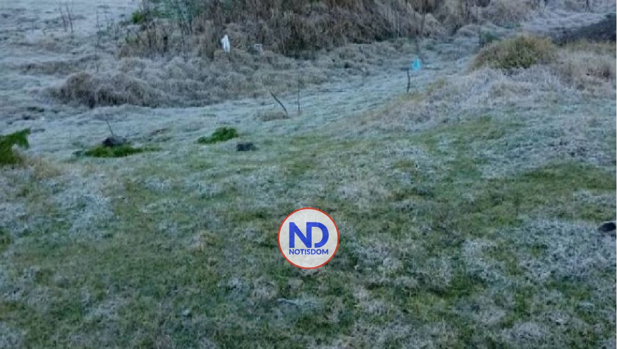 Bajas temperaturas congelan la zona de Valle Nuevo, Constanza