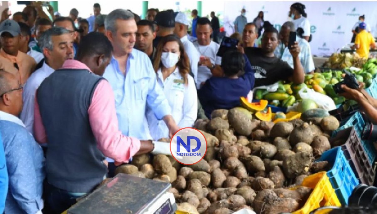 Gobierno adoptará medidas para mitigar efectos de la crisis mundial