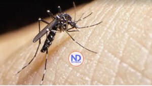 El país podría enfrentar epidemia por dengue si casos siguen en aumento, advierte MSP