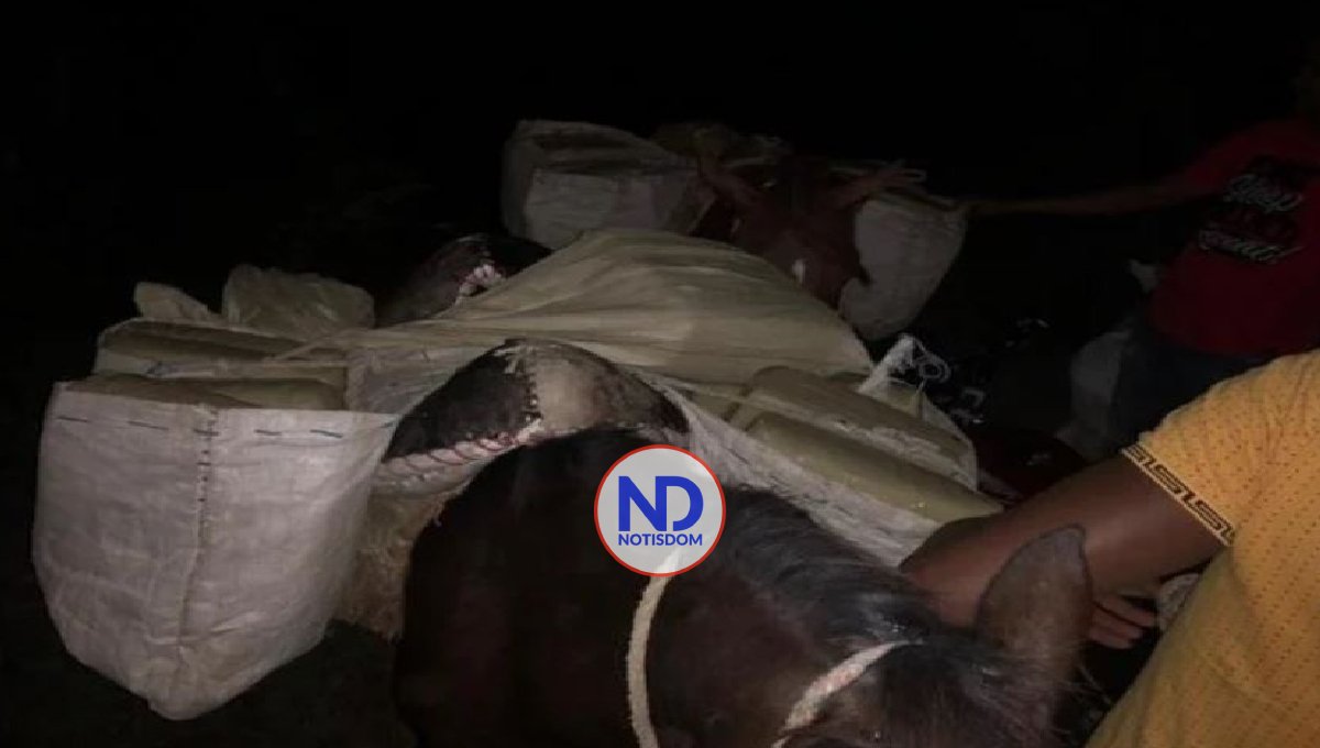 Cesfront decomisa 250 libras marihuana en caballos