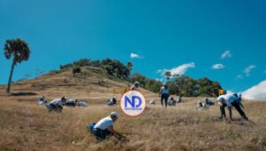 Empleados del Popular siembran 3,500 árboles en el Plan Sierra