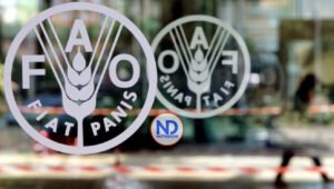 FAO ve guerra Ucrania amenaza seguridad alimentaria mundial