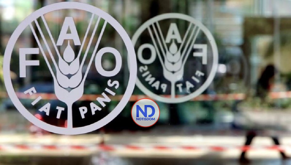 FAO ve guerra Ucrania amenaza seguridad alimentaria mundial