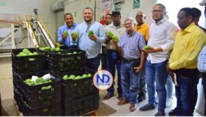 FEDA anuncia apoyo a los productores de mango la región