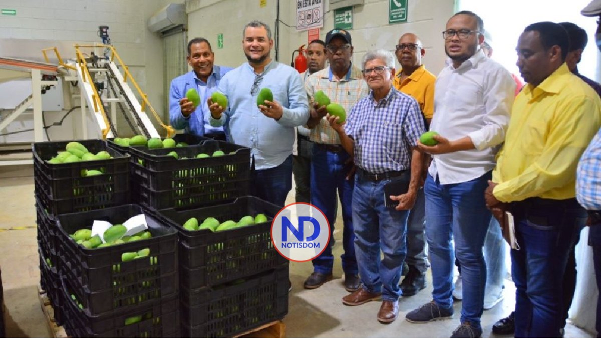 FEDA anuncia apoyo a los productores de mango la región