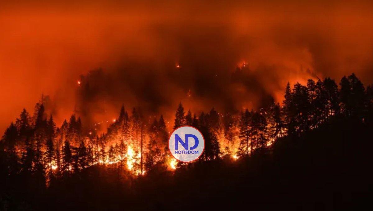 Un incendio forestal en Florida obliga a evacuar más de mil viviendas