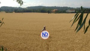 La guerra amenaza con disparar precios de materias primas claves