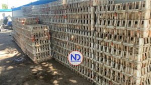 Policía apresa a 4 personas y ocupa camión con 553 pollos robados