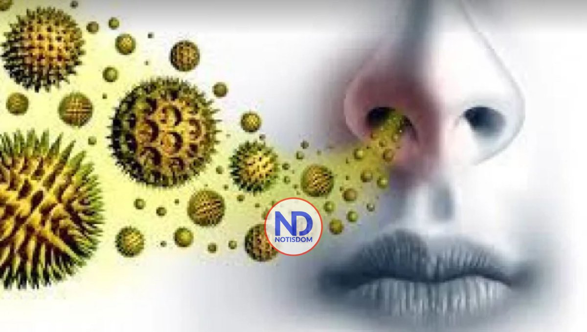 Las alergias respiratorias y sus cuidados preventivos