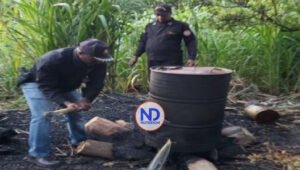 Desmantelan una fábrica de alcohol adulterado