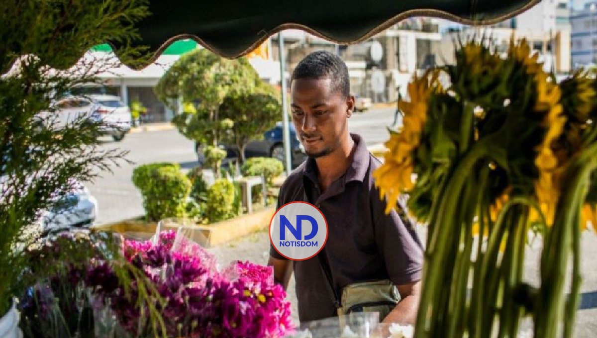 Crédito para empresas y hogares se recupera en RD