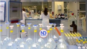 Hallan anticuerpo frena propagación tumores y previene metástasis