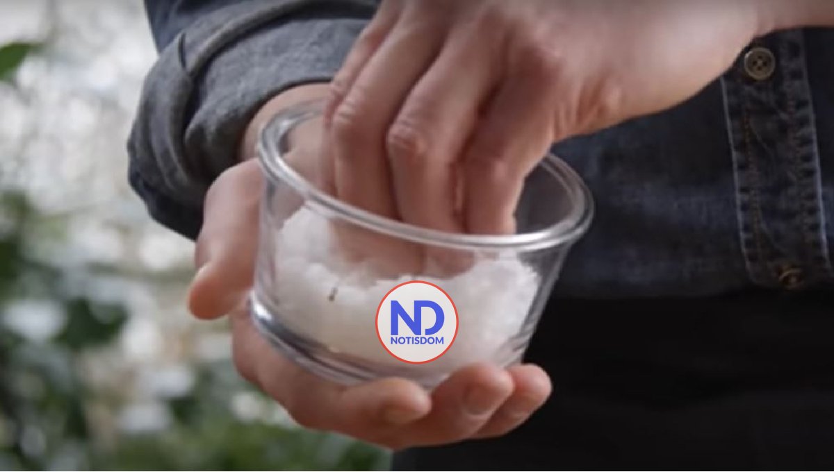 OPS reclama consumo de sal por debajo de cinco gramos diarios