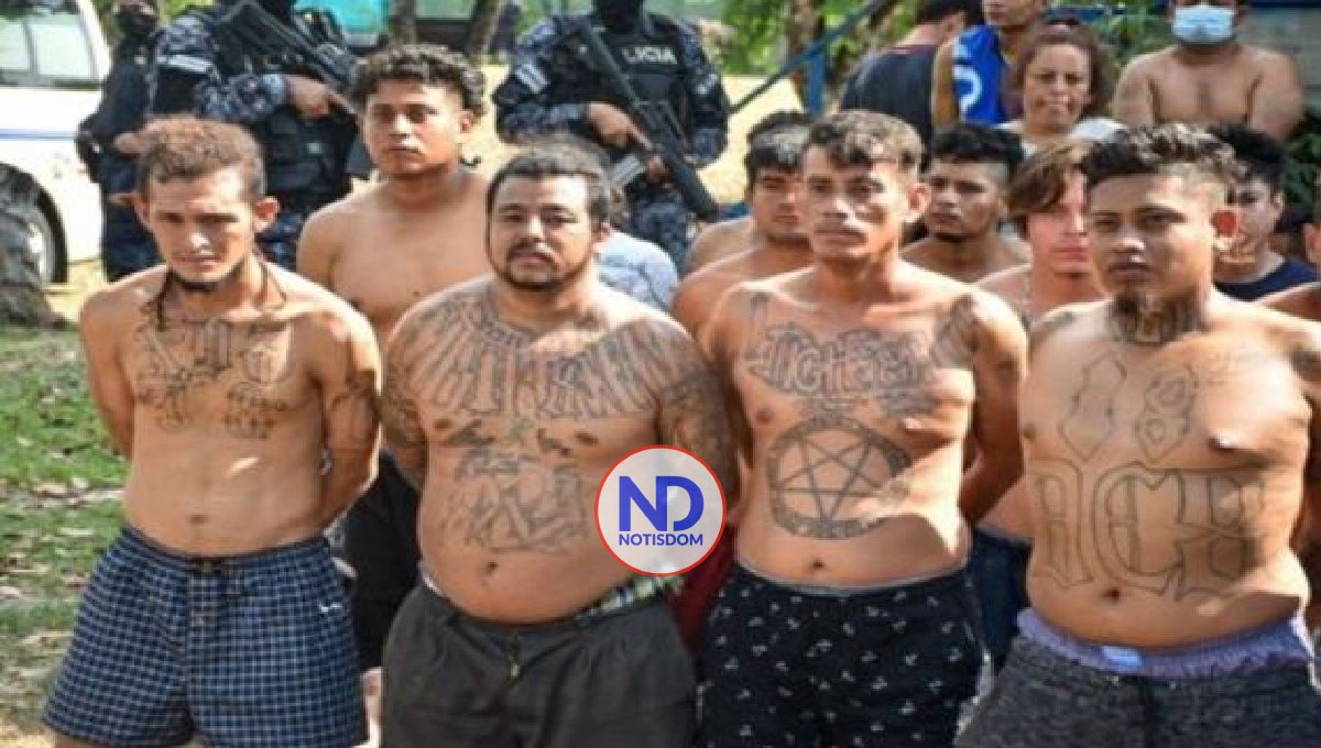 Son más de 12.000 pandilleros «terroristas» detenidos