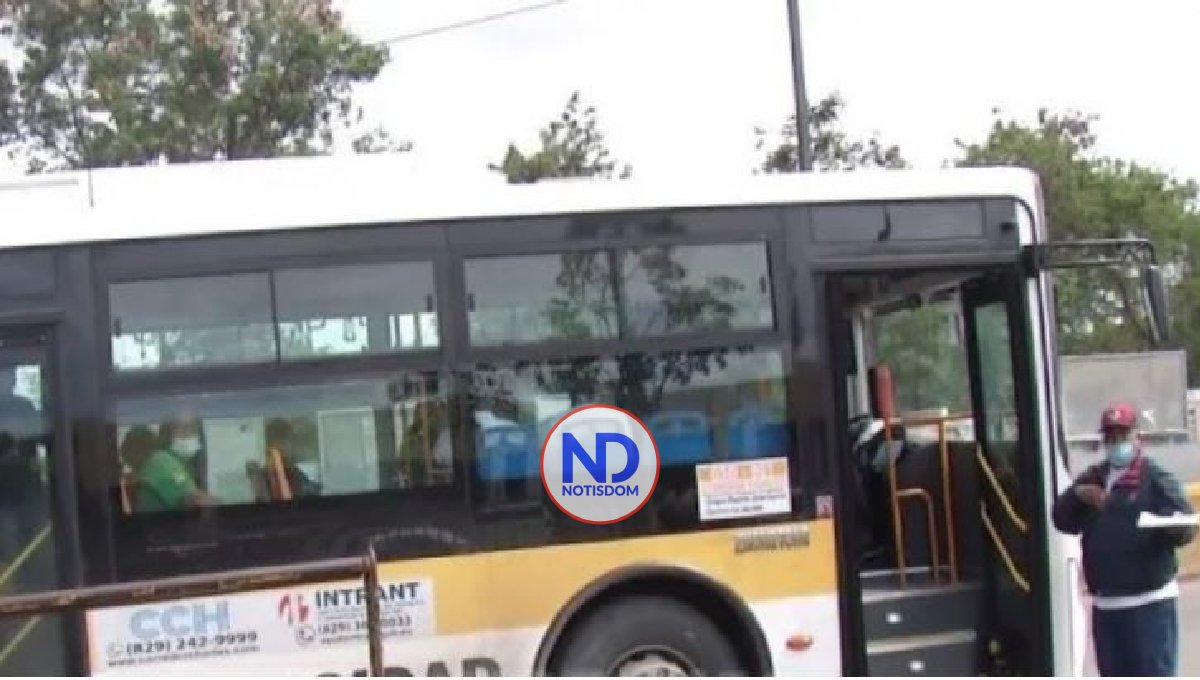 Desaprensivos apedrean autobús en SDN; hay dos mujeres heridas