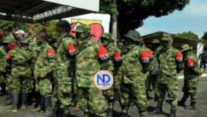 ELN decreta alto el fuego a votar en «tranquilidad»