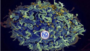 Riesgo enfermedades infecciosas puede aumentar por cambio climático