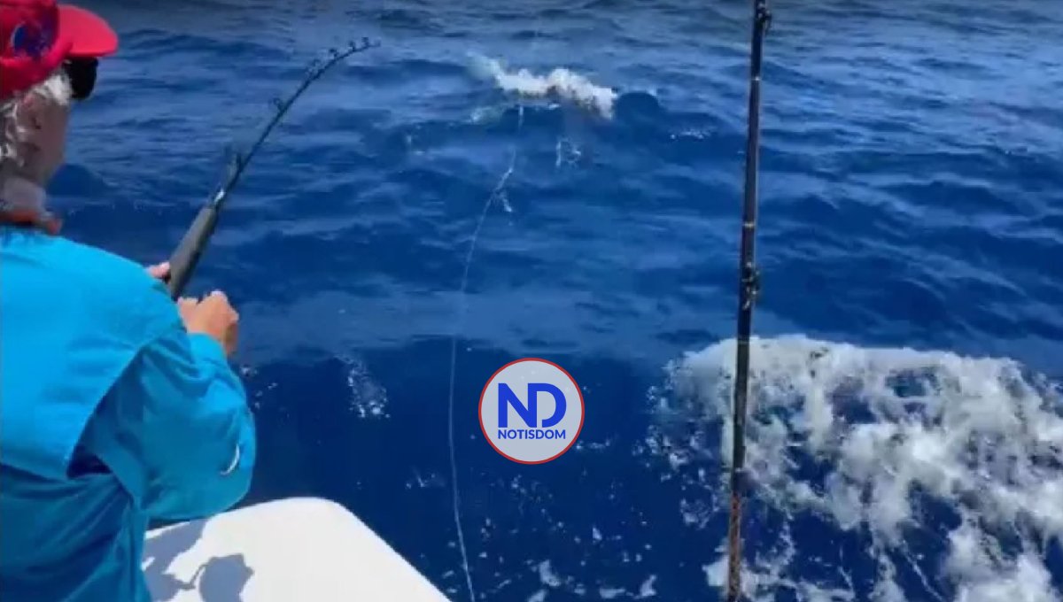 “Los Modelos” toma comando en torneo de pesca al Marlin Blanco