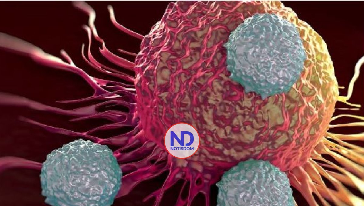 Explican como una célula cancerosa vuelve a una normal