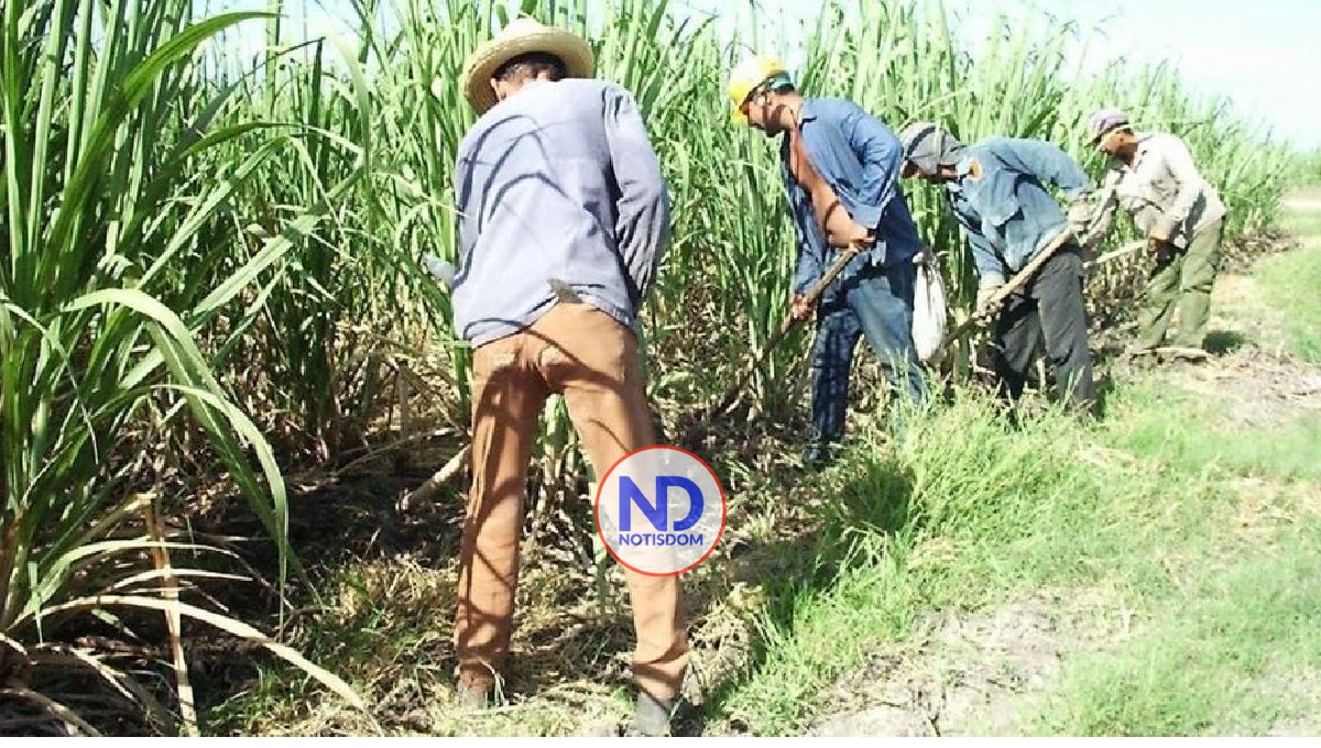 R.D y EE.UU. acuerdan cooperación en materia laboral