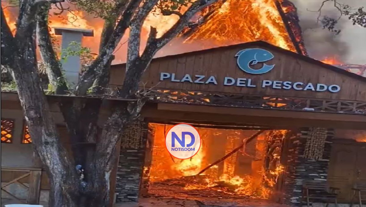 Voraz incendio consume establecimiento comercial en Boca Chica